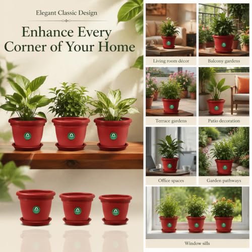 Image of TrustBasket Terracotta pots with Bottom Plates - 3 Pcs (6 inch) | Gamla for Plants with Saucer | Pots and planters with Tray | Garden pots & Bottom Plates