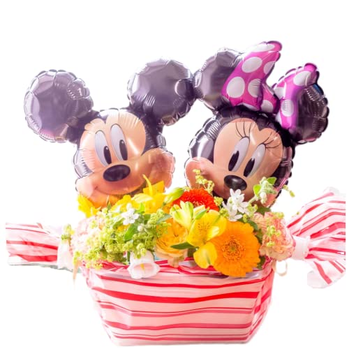 o[t[ ~bL[&~j[ fBYj[ Mtg  t[AWg G߂̏{ȂԂg܂o[t[AWg a LO j JXj ̓  v[g (~bL[&~j[(邢))