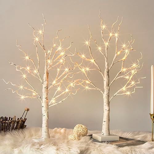 Vanthylit White Birch Tree with LED Lights - Set of 2, Tabletop Tree with Timer, Christmas Decorations Lighted Tree for Indoor Mantel Home Decor (2 FT, 24 LED)