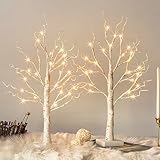 Vanthylit 2FT 24LT Pre-lit White Birch Tree Decorative Light Tabletop-2PC