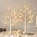 Vanthylit 2FT 24LT Pre-lit White Birch Tree Decorative Light Tabletop-2PC