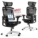 FLEXISPOT ErgoX Pro Sedia da Ufficio Ergonomica con Altezza Regolabile a 12 Livelli, Braccioli 7D, Supporto Lombare 5D, Poggiatesta 4D, Portata 250 kg e Seduta in Rete Traspirante – Nero