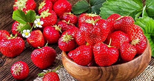 Image of Healthy Vibe Premium Everbearing Strawberry Plant - Sweet and Juicy Berries for Your Garden - Hardy and Easy to Grow - Perfect for Home Gardening (Strawberry Plant-PC-2)