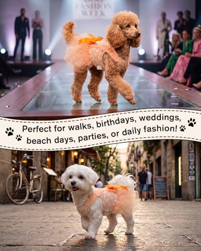 Image of CuteBone Cream Daisy Pet Dress for Small Dogs, Cats - Double-Layer Ruffled Skirt - Orange Satin Bow - Spring Daily, Garden Dress