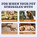 Wellix 550 Bites No Poo Chews for Dogs - Stool Eating Deterrent for Dogs Coprophagia Relief with Probiotics Digestive & Gut Health - Support Breath Freshener & Immune System, Chicken & Pumpkin Flavor