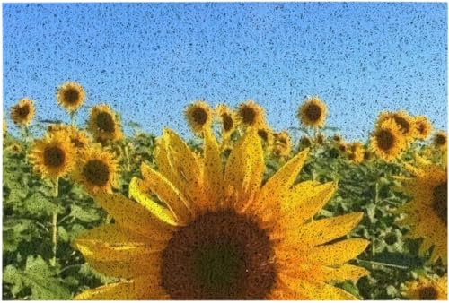 �J�[�y�b�g ���փ}�b�g �t���A�}�b�g �Ђ܂�� ����~�� �Ɩ��p ���n �}�b�g �V���v�� �D���Ƃ� �z�� �����E���� ���ʏ��}�b�g ������� ���ւ܂��� ���ׂ�~�� �ϖ��Ր� �h�L 40x60cm