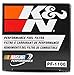 K&N Gasoline Fuel Filter: High Performance Fuel Filter, Premium Engine Protection, Compatible with 1983-2004 Nissan/Infiniti Fuel Injected Gasoline Engines, PF-1100