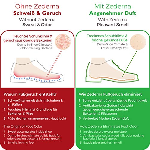 Zederna Cedar Wood Shoe Insoles 1 Pair, Cedar/RedUS M 14/ EU 48 - Thumbnail 5