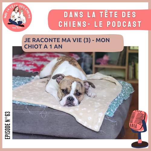 Page de couverture de Je raconte ma vie - mon chiot a un an