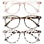 Light Pink + Leopard + Tortoise