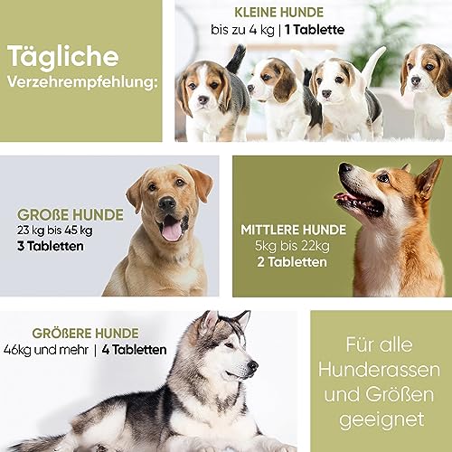 animigo Allergiehilfe für Hunde - 120 Allergie Tabletten für Haut-, Umwelt- & Nahrungsmittelallergien - Mit Kurkuma, Flohsamenschalen, Leinsamen, Traubenkernextrakt, Kürbiskern, Mit Huhn Geschmack