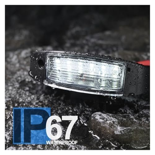 Luces de matrícula para Peugeot Expert y Boxer canbus de recambio 4