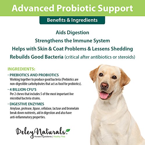 Reviews for Deley Naturals Probiotics for Dogs BestViewsReviews