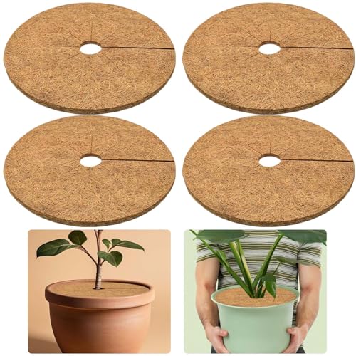 Sztqqing 4 pièces de nattes en coco - Disque en coco - Paillis en coco - Couverture de pot - Protection hivernale pour plantes en pot - Protection contre les...