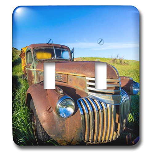 Double interrupteur Old Feed Truck Medora pour remplacer une plaque unie