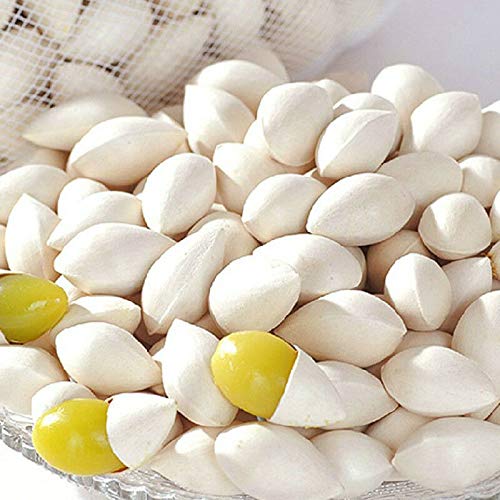 通用 50g-500g Ginkgo Biloba Plata Madura Albaricoque Nuez Herbal Chino Natural Orgánico Comida Saludable (50g) - Imagen 3