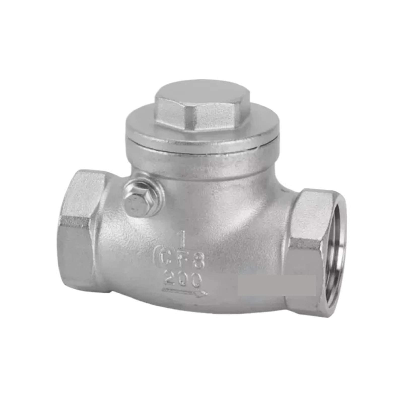 Dkgnyxnplj Horizontal Valve 1Pcs 304 Stainless Steel Swing Check Valve Horizontal Threaded 1-Way Valve(,G3 Bsp Dn80)
