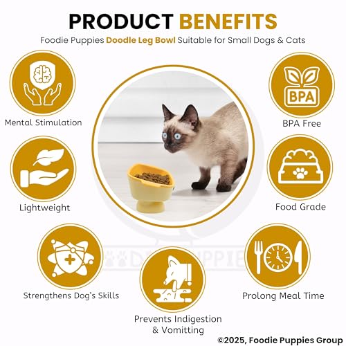 Image of Foodie Puppies Cat Detachable Food and Water Feeder - 300ml (Doodle Leg Bowl) | Durable, Anti Vomiting, Healthy Cat Bowl for Persian Cats Prevent Tipping Over | Feeder for Cats and Small Dogs