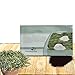 Outsidepride Irish Moss Ground Cover Plant Seed - 10000 Seeds