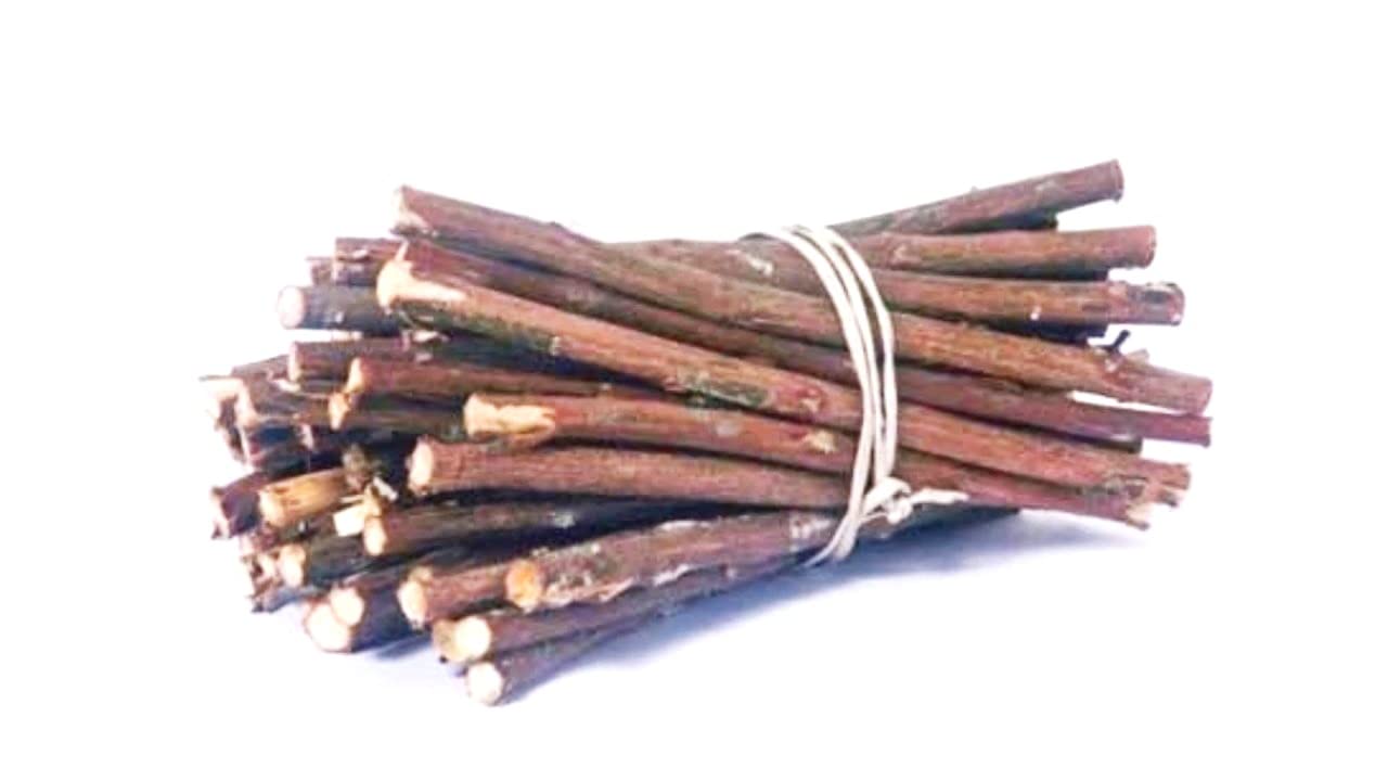 Generic Organic Babool Datun Chew Stick for Healthy and Strong Teeth - 50 Sticks (Unflavored, 32 Gram)