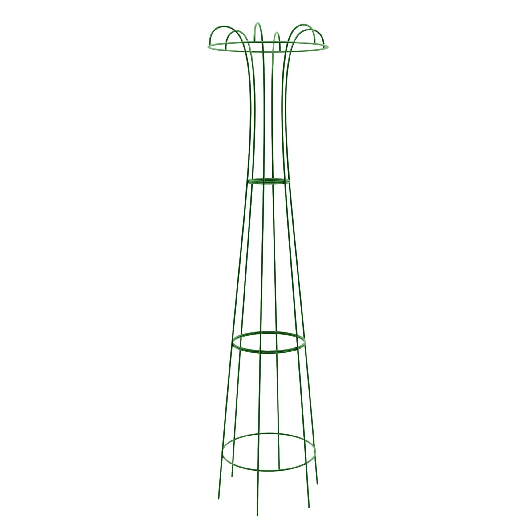 Support pour rosiers Azure vertical de 200cm pour plantes grimpantes