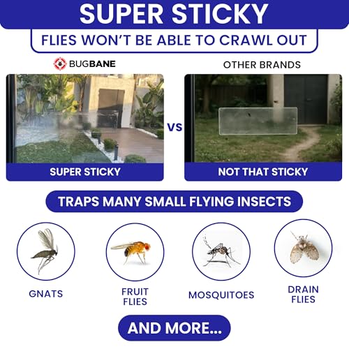 50 Window Fly Traps Sticky Non-Toxic Clear Fly Paper Indoor for Home. No Mess Flies Window Sticky Traps Bug Flies Strips Indoors. Fruit and Housefly Trap Indoor Flypaper Tape Gnat Catcher Killer
