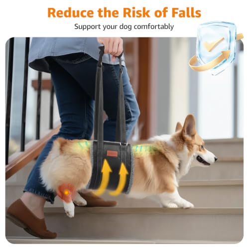 Image of LOOBANI Dog Sling for Large Dogs Hind Leg Support to Help Lift Rear Legs