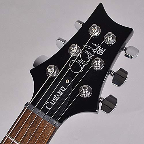 Amazon | PRS SE Custom24 N Amethyst エレキギター ポールリード