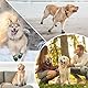 Muecleao Hundeschuhe Pfotenschutz, 4 Stück Wasserdicht Anti-Rutsch Hundestiefel mit Rutschfester Sohle und reflektierendem Klettverschluss, Schuhe für kleine, Mittlere und Große Hunde (Grün, XXL)