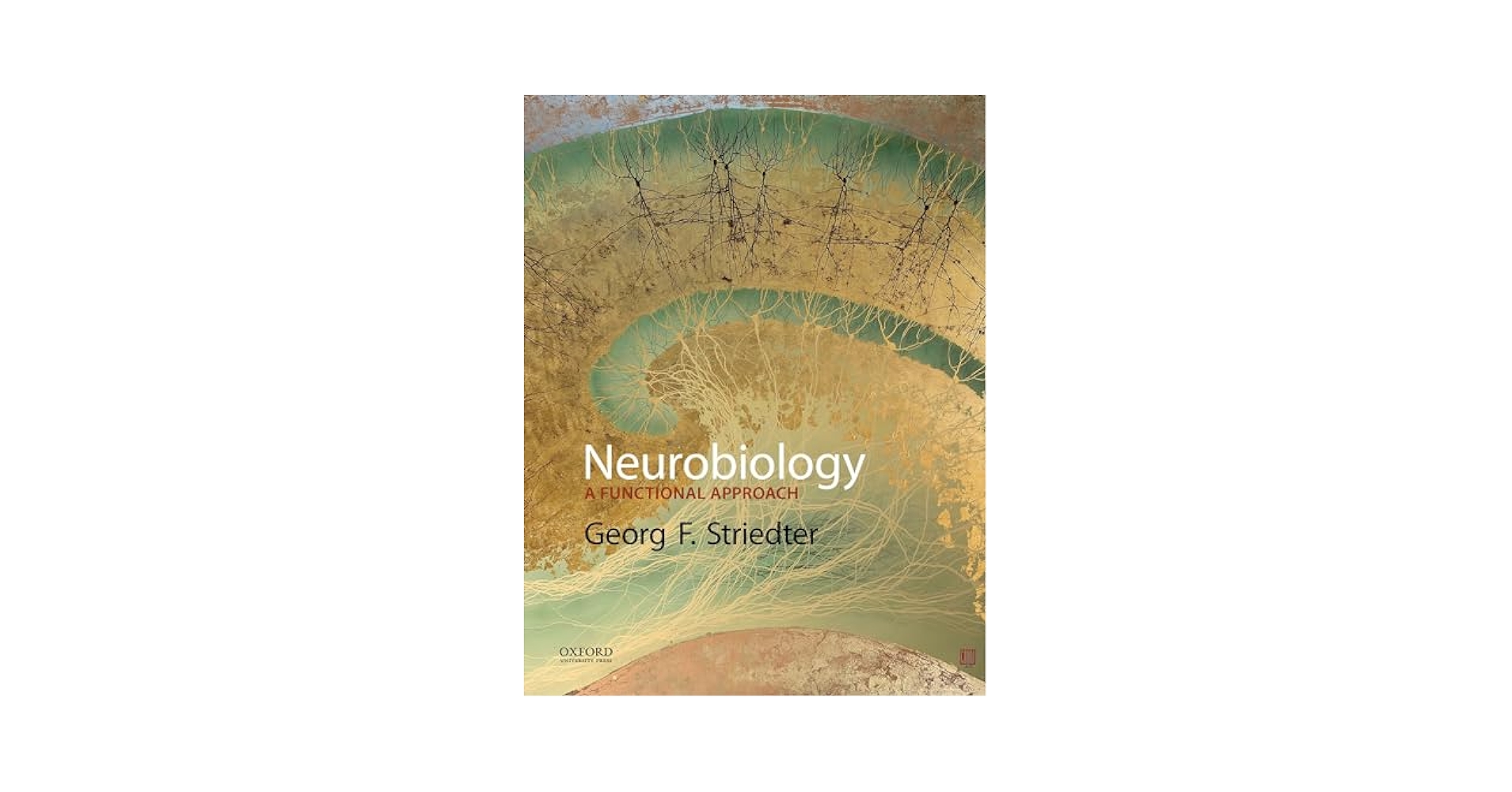 洋書 the neurobiology of brain and behavioral Neurobiology