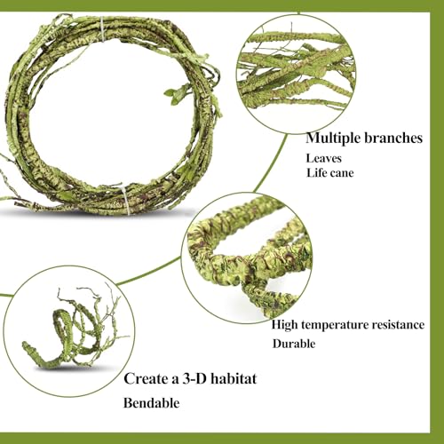 HERCOCCI Reptile Plants, Terrarium Hanging Plant Climbing Vines Reptile Hide Leopard Gecko Tank Accessories, Terrarium Decorations for Bearded Dragon Lizard Snake Geckos Chameleon