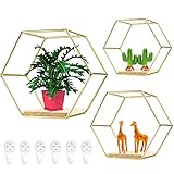 QINERSAW 3er Set Hexagon Wandregal Metall Regal Wanddeko Hängeregal Hexagon Metall Wohnzimmer Wandregal Deko Sechseck Regale für Schlafzimmer Bad Café Hotel 3 Größen Gold