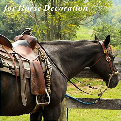 Sleigh Bells For Horses Harness, Gremlin Guardian Bell, Polar Express Bell For Diy Crafts, Santas Jingle Bell For Christmas/Xmas Tree, Mini Brass Decor For Keychain, Hanging Ornaments For Bike [2Pack] #TOP4