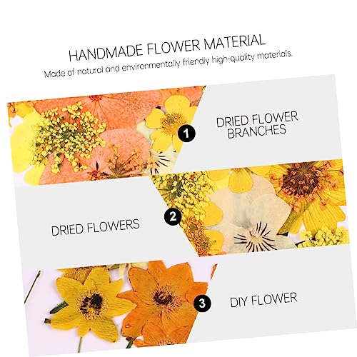 Flores secas elegantes para decoración y manualidades miniatura 5