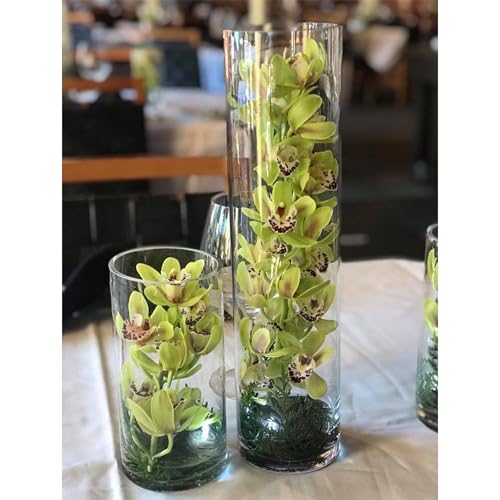 WGVI Quality Thick Weighted Tall Clear Cylinder Glass Vases, 4" W x 16" H, Flower Arrangement Floating Candle Holders Wedding Centerpieces Event Floral Container Accent Home Decor, 1 Piece by WGVI - Image 7