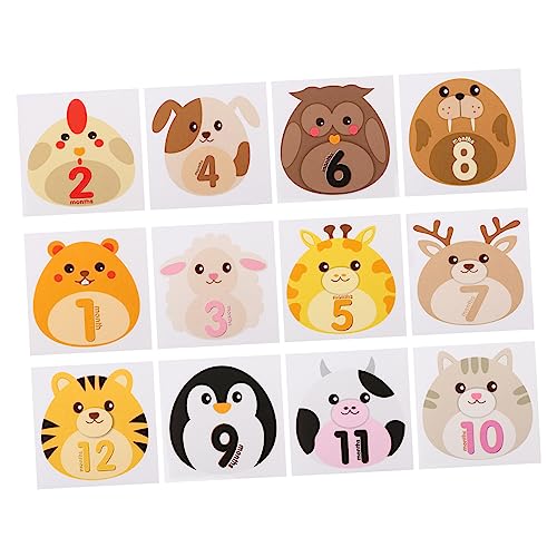 Ipetboom 12 VpV[ ʐ^Bepxr[pLOV[ f