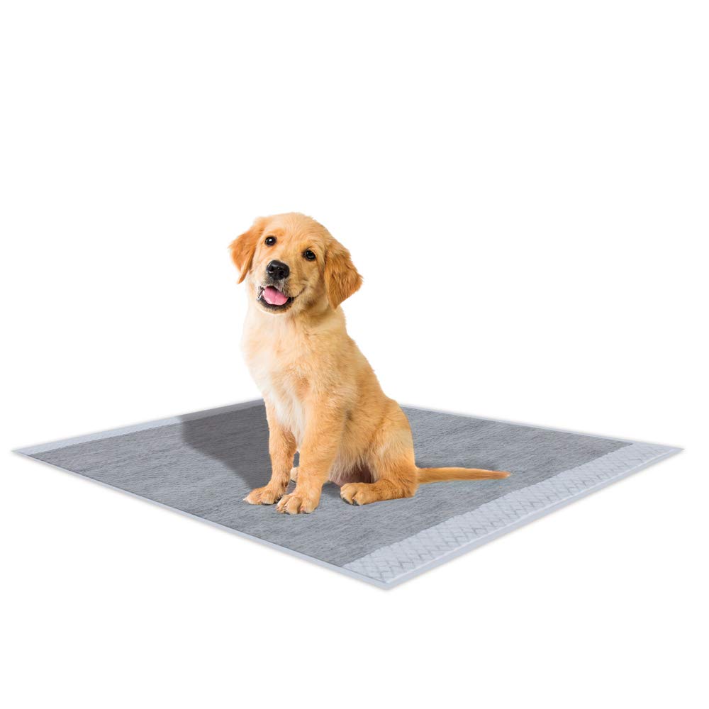 Croci Super Nappy Carboni attivi - Tappetini Igienici per Cani 57x84 cm - 60 pezzi & Super Nappy Daisy - Tappetini Igienici per Cani 84X57 cm 30 Pezzi