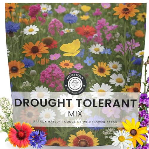 Drought Tolerant Mix – 22,000 Seeds for Planting – 2026 Season – 1 Ounce Pouch