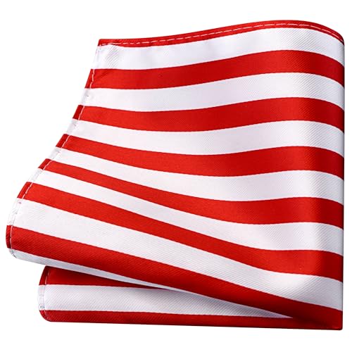 Image of GUSLESON 3.15 inch（8cm） Mens Stripe Tie and Lapel Pin Necktie Hankerchief Cufflinks Set for Men
