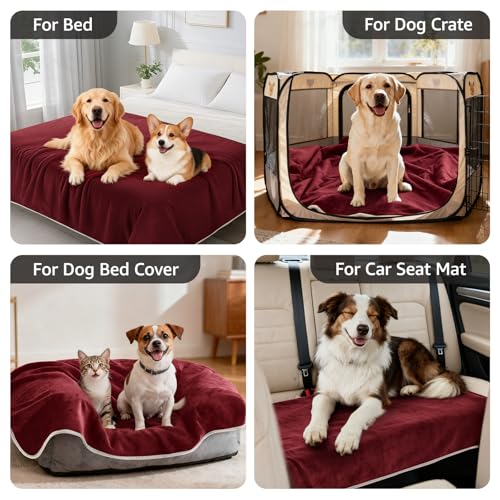 Image of LOOBANI Waterproof Dog Blanket for Couch: Reversible Flannel Bed Blanket for Medium Large Dogs Liquid Proof, Soft Throw Blanket Couch Cover Protector for Sofa, Crate, Travel, Picnic, 50 inch x 60 inch, Red