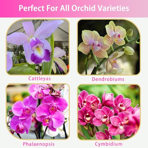 GOTVUGE Orchideen-Pflanzsubstrat 1L, bestehend aus Orchideenrinde und Perlit, ideal für Einpflanzen, Umtopfen, Gute Drainage, Luftzirkulation und Wurzelbelüftung