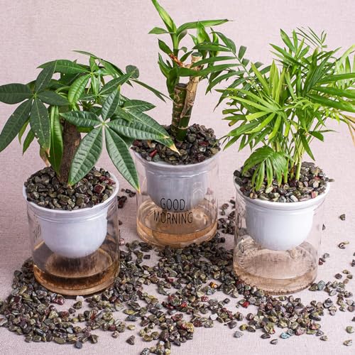 Image of Polished Dragon Blood Jasper Crystal Chips Bulk 200 Pcs - 0.3 inch Small Colorful Tumbled Stone Chips Rocks, 10 oz Crushed Sea Glass Vase Filler Stones for Healing, Reiki, Crafting, Home Decor