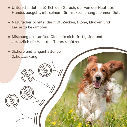 amusi Schutzampullen mit Neemöl für Hunde - 5 Ampullen zu je 1 ml - Gegen Zecken, Flöhe, Mücken, Läuse - Lang Anhaltender und Natürlicher Schutz mit Schild-Effekt