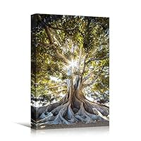 Canvas Wall Art Green Forest Dramatic Forest Landscape Living Room Multicolor Photography Rustic - 12x18 inches