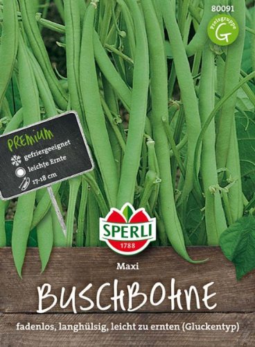 Sperli Buschbohnensamen Maxi 80091 - Fadenlose langhülsige Sorte im Gluckentyp - Inhalt für 4-5 lfd. Meter - Gemüsesamen Samen Gemüse Saatgut
