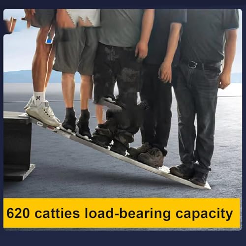 Rampa para motocicletas y entrada con capacidad de 620 lb miniatura 6