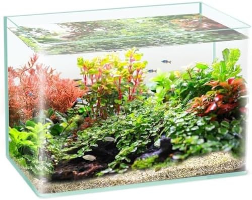 Zeruho ^ANAE KX eʐ݌v E_JETp ԊwI lHt ۂ̐ɓK ϗtA͔|p CeAe (60×30×35, t̃xA^N)