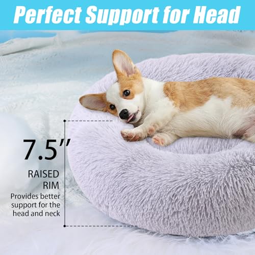 HYQ-Small-Dog-Bed-Pet-Beds-for-Small-Dogs-Cat-Beds-for-Indoor-Cats-Fluffy-Faux-Fur-Plush-Small-Dog-Bed-Washable-Puppy-Bed-with-Anti-Slip-Bottom-Dog-Bed-Small-Size-Dog-Light-Gray-20-Inch
