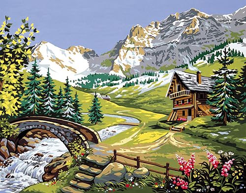 Generico Mezzopunto Mezzo Punto Stampato a Colori Completo di matassine di Cotone Ritorto Paesaggio con torrente dim 47.5 x 37 Disegno ricamabile