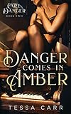 Danger Comes in Amber (Cape Danger)